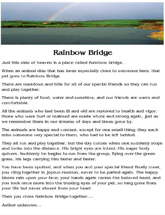 Rainbow Bridge Poem